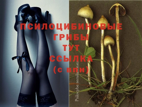 дурь Лихославль