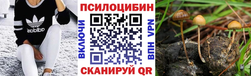 Купить закладки  Смоленск  Псилоцибиновые грибы прущие грибы 